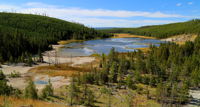 调解承担林地修复费700余万元