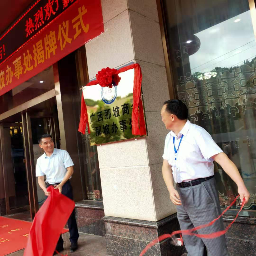 1716693013745049.jpg 领导揭牌.jpg